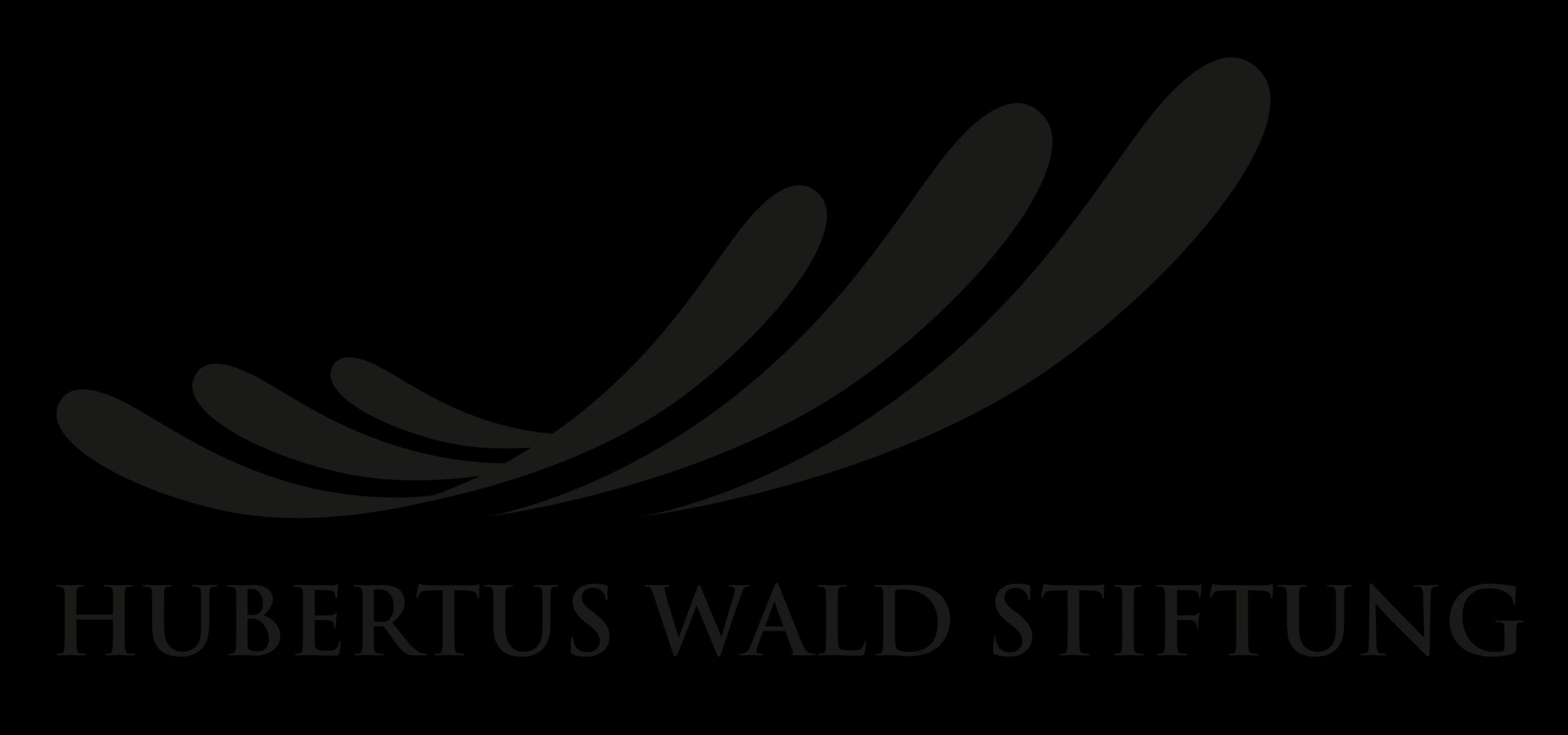 Hubertus Wald Stiftung