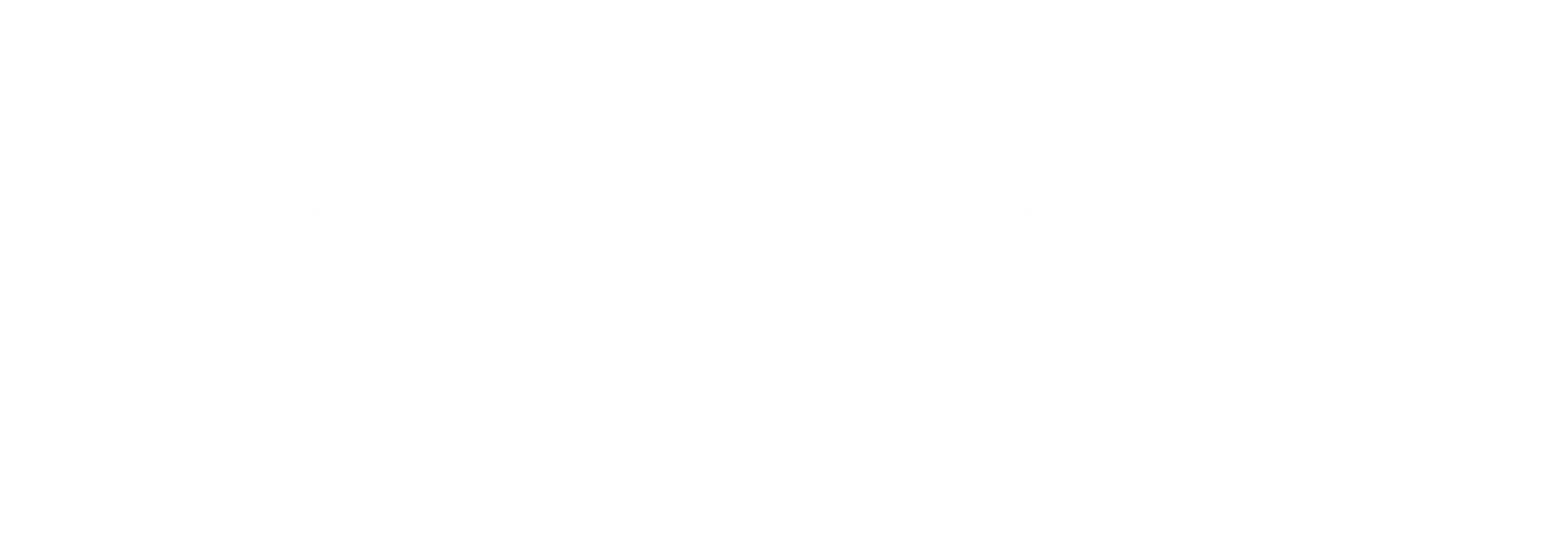 Weißes TONALi-Logo