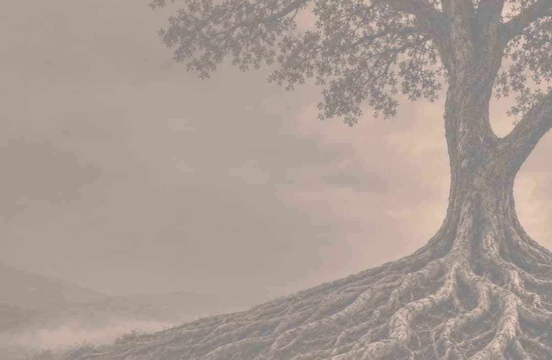 Roots & Routes